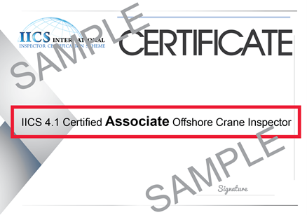 IICS Cert Proficiency SAMPLE certAssociate